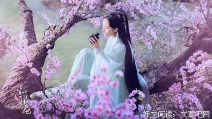 最新的《三生三世十里桃花》经典语录大全