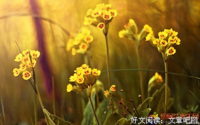 最全的《天才的激情与感悟》佳句摘抄