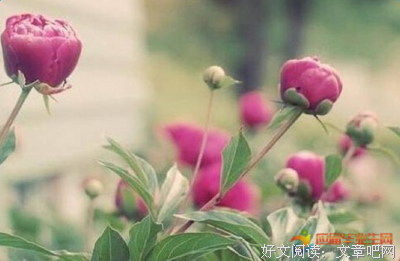 百折不挠的名句_关于百折不挠的名句