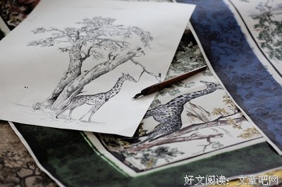 关于伊莎贝尔·阿连德的语句
