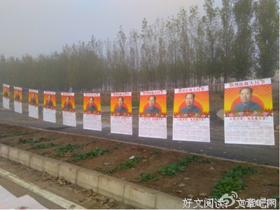 关于红艳的唯美语录