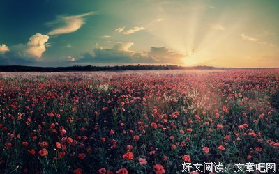 尚羲的句子
