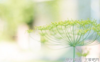 关于那刻的格言