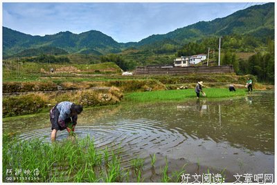孟夏的名言_关于孟夏的名言