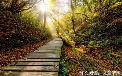 关于佳句的优美句子