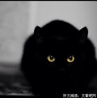 美言美句句子