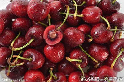 车厘子座右铭