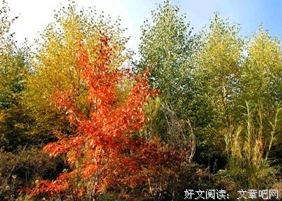 关于海原零的名言名句