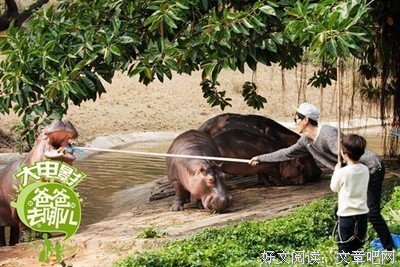 恒愚法每如打精彩语录