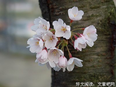 益的好降措尊者的格言