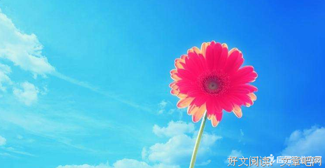 最新的《我想和你互相浪费》名句欣赏