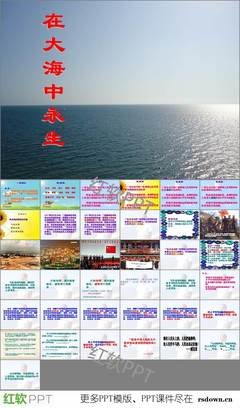 最新的《无念——永生之花》经典的句子大全