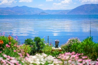 最全的《你若盛开，清风自来》经典句子