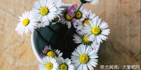 最新的《像我这样笨拙地生活》经典句子大全
