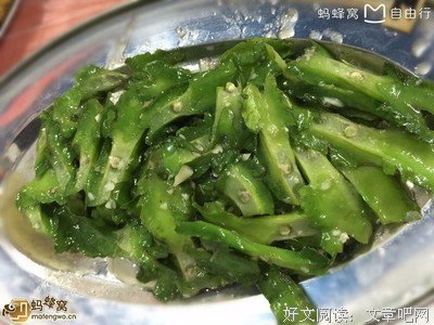 最新的《北纬三十三度的爱恋》语录摘抄