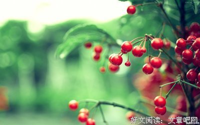 最新的《荆棘王冠·致无尽岁月》经典名句大全