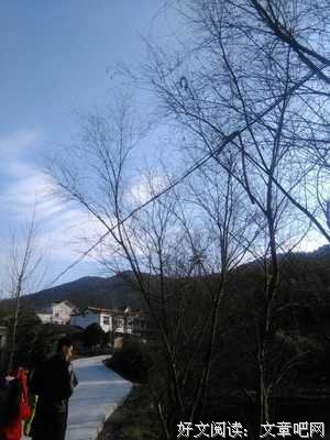 最全的《相逢如初见 回首是一生》经典名句大全