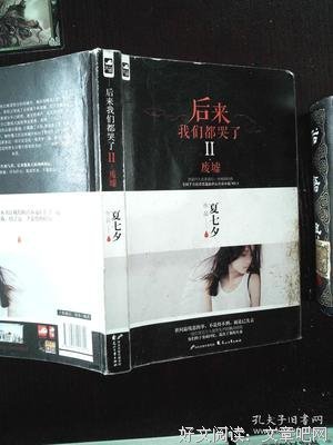 最经典的《后来我们都哭了Ⅱ·废墟》小说书摘大全