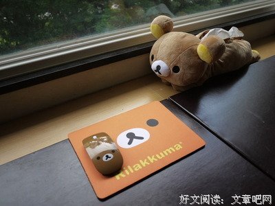 《怦然心动的人生整理魔法》佳句摘抄
