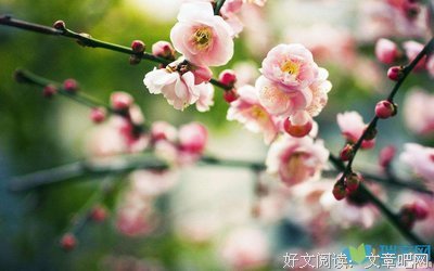 最新的《路途遥远，我们在一起吧》好段摘抄