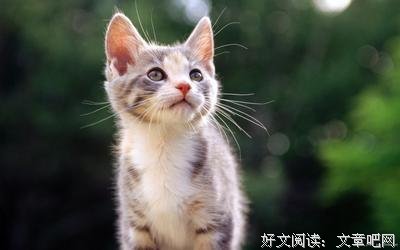 你跑进我梦里来啦