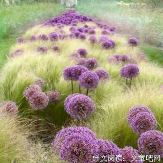 最经典的《你所谓的稳定，不过是在浪费生命》语录摘抄