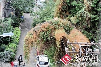 关于进退两难的语句