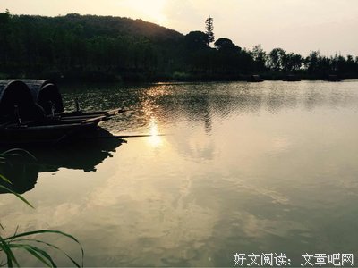 花开倾城格言警句