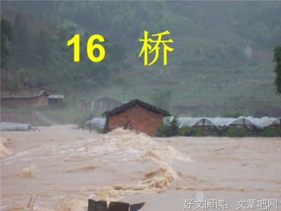 描写桥本的经典句子