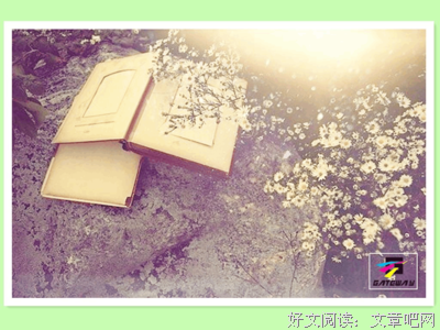 《随心》的句子