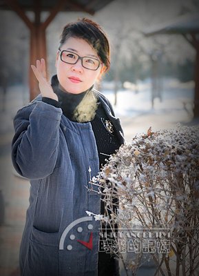 雪殇句子大全