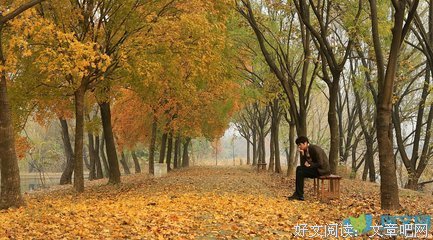 秋殇的句子