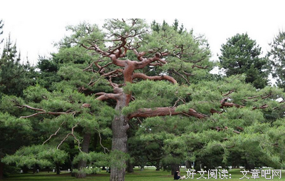 你的名字名句欣赏