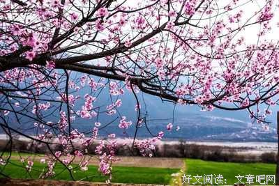 《摘抄》的句子