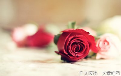 关于夏乔恩名言大全