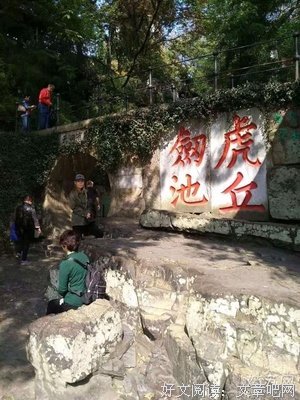 苏凉的名言