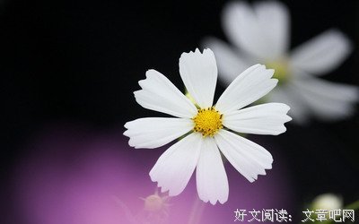 有关吕白Alex名言