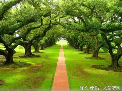 倾落尘15句经典名言