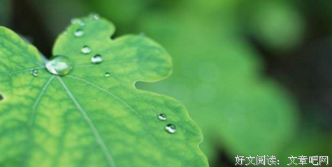 《灵类萌妻》经典语句