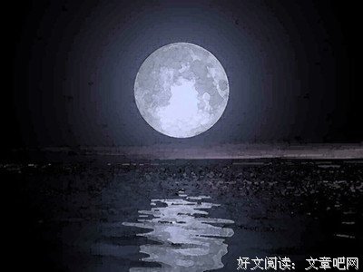 最新的《愚人愚诗》语录摘抄