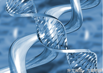 《核酸》语录摘抄