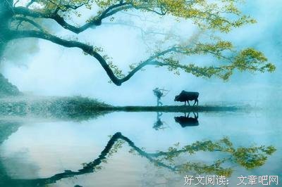 最新的《唯不忘相思》语录摘抄