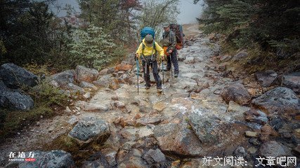 最新的《穿越网邱地能音飘零》语录摘抄