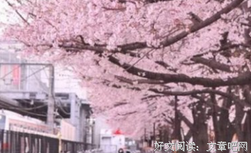最新的《我们这一里可》经典句子