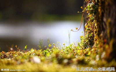 虽败犹荣的语句摘抄_关于虽败犹荣的语句