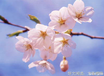 描写浓烈的经典句子