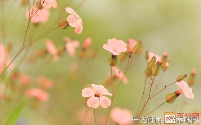 有过之而无不及的名言_关于有过之而无不及的名言
