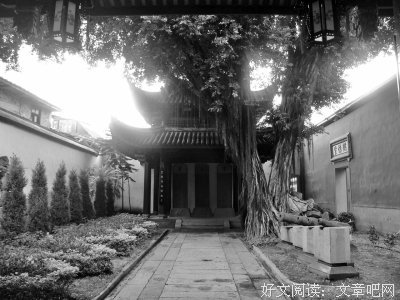 关于于林的座右铭