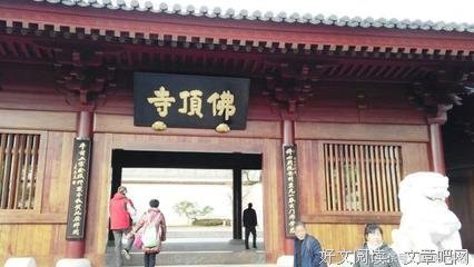 关于萍踪的语句