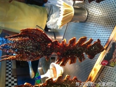 关于肖想的格言